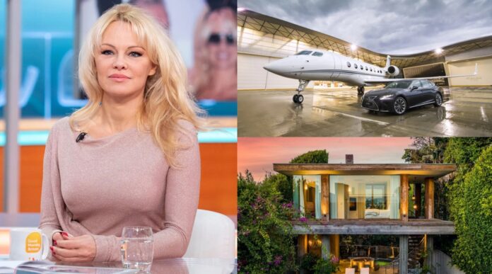 Pamela Anderson Net Worth 2023